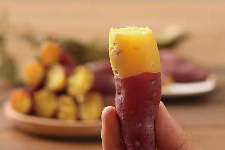 智能甘薯糖化愈合库，红薯存储新变革