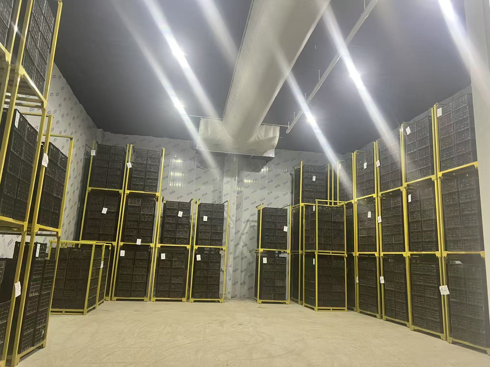 河北智能甘薯糖化愈合库项目